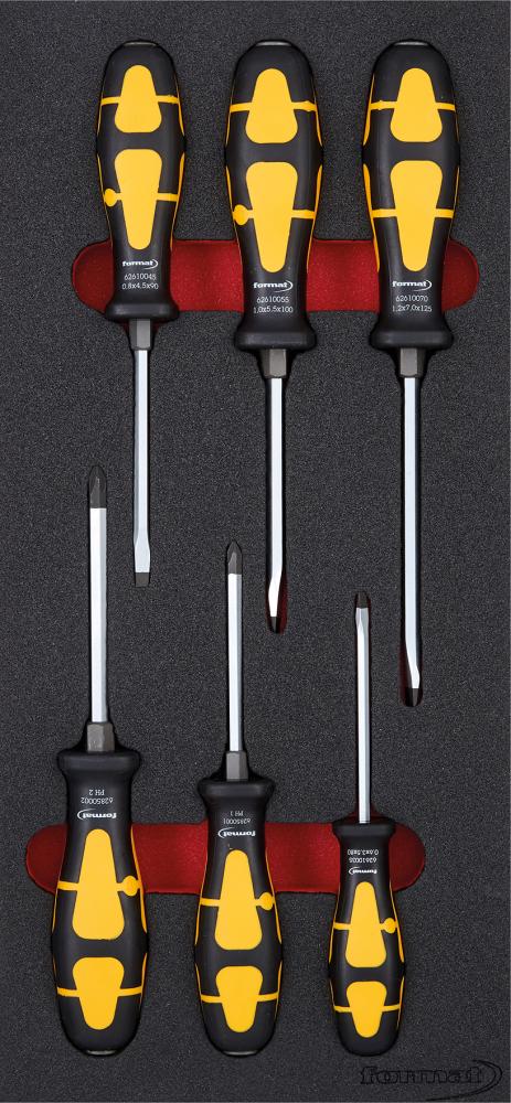 Format Werkzeugmodul 1/3 Schraubendreher mit Schlagkappe