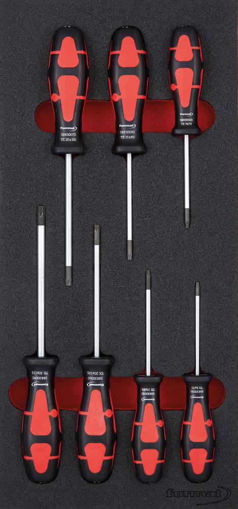 Format Werkzeugmodul 1/3 Schraubendreher Torx