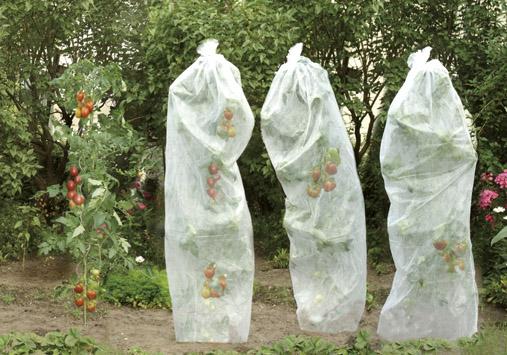 Tomatenreifevlies 0,8x5m 17g